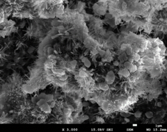 Review 156654264638-image10.png