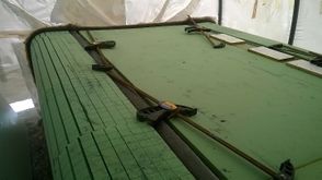 Draft Ribó 413467298-image10.jpeg