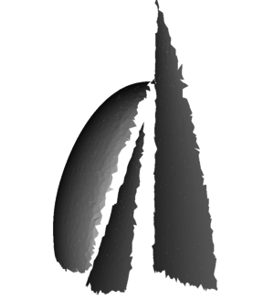 Draft Samper 908356597-J14 SailsRefine0.png