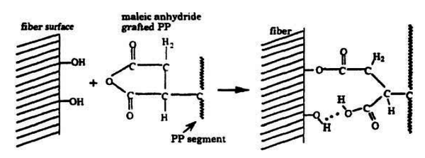 Draft Compuestos 510780983-image5.png