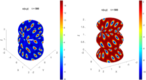 Concentrations at t = 0 and t = 500.
