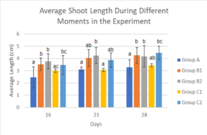 Draft Melika 433147401-image9-c.png