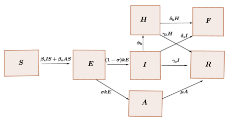 Transference diagram for the proposed COVID-19 model.
