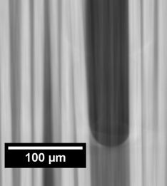 Draft Porcar 507359298-image10-c.jpeg