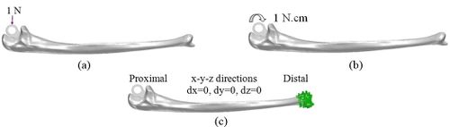 Review 392361619556 1169 17.jpg