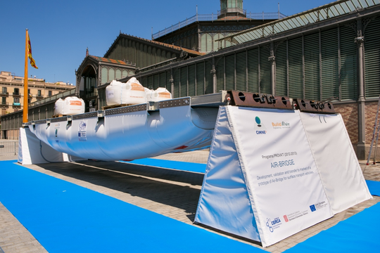 Draft Samper 262723117-Born1.png