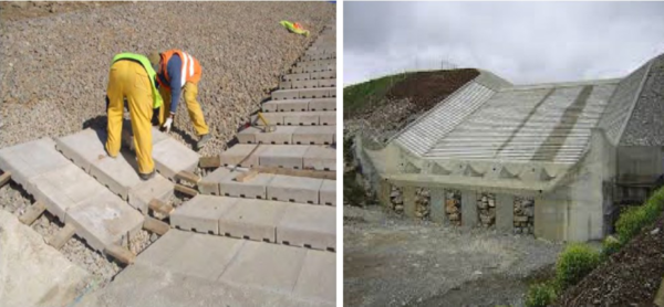 Draft San Mauro 130090090-image3.png