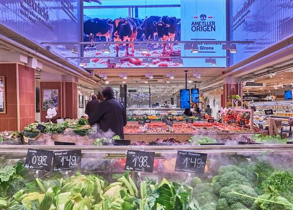 Draft Sanchez Pinedo 742635054-image70.jpeg