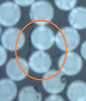 Zumaquero et al 2017a-image8-c.png