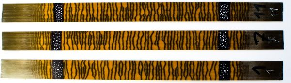 Cantera et al 2019a-image8.jpeg