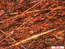 Draft Garcia 400677570-image8.jpeg