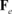 Draft Samper 372337659-image124.png