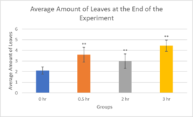 Draft Melika 433147401-image7-c.png