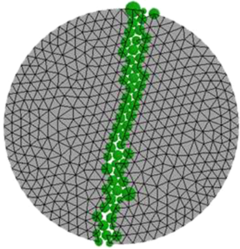 Embedded particles. Taken from: Zárate and Oñate \cite{Zarate2015}