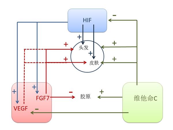 Draft Liu 649436795-image4.jpg