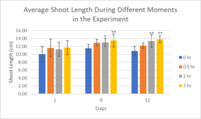 Draft Melika 433147401-image13-c.png