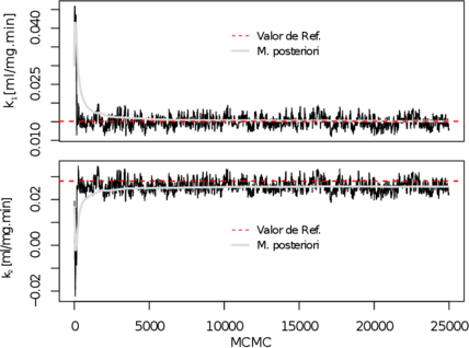 Draft Samper 522746929-posteriore GlucoseR.png