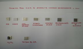 Valea et al 2019b-image5.jpeg