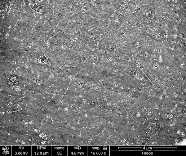 Vazquez et al 2021a-image9-c.png