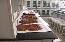 Draft Li 412855078-image4.jpeg