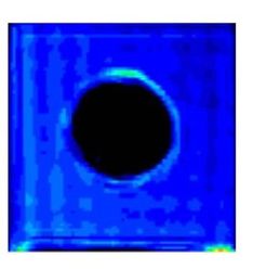 Riera et al 2017a-image6-c1.jpeg
