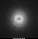 Draft Gamboa 374900582-TEM2NPsAg 0016.png