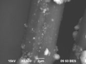 Draft Garcia-Arrieta 324343137-image3.jpeg