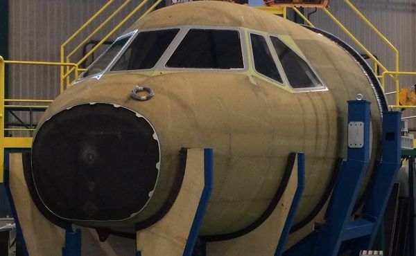 Tielas et al 2019a-image11-c.jpeg