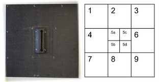 Draft Carral 650605815-image5.png