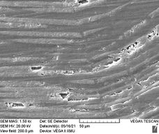 Review 824132888298-image56.jpeg