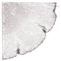 Plot of Principal PK2 stresses