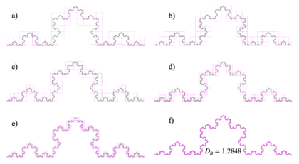 Fractal dimension DB= 1.2848 calculated using the “FracLac” plugin of “ImageJ” app.