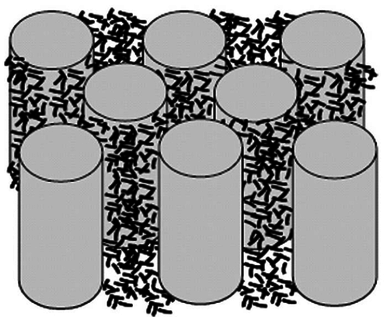 Vazquez-Moreno et al 2019a-image5.png