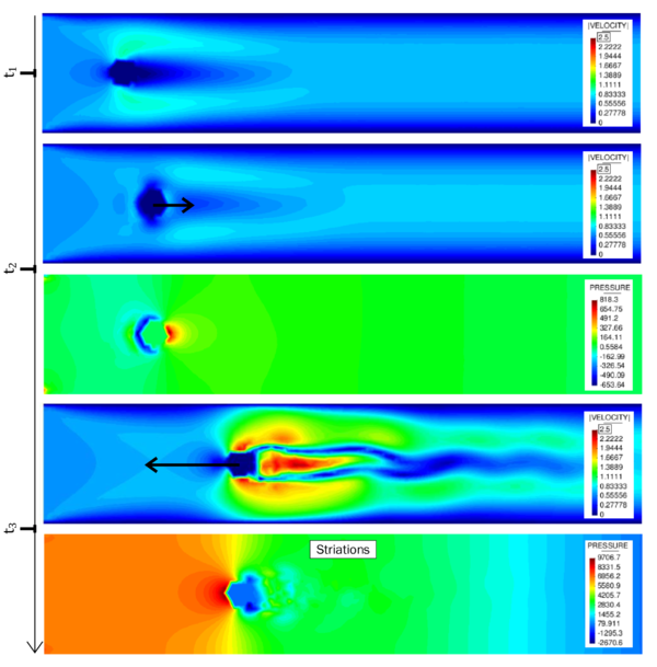 Cylinder with prescribed movement in a channel flow - The picture shows the resulting flow field at three different time instances with each a different velocity of the embedded structure.