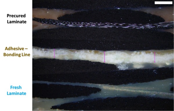 Draft Compuestos 541372741-image14.png