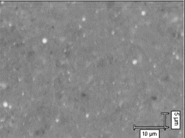 Draft Mazo 607551151-image3-c.png