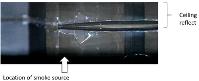 Review Flores-Herrera et al 2017a-image32-c.png