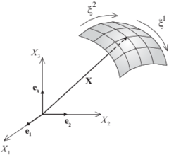 Membrane coordinate system