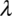 Draft Radulescu 822487537-image2.png