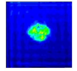 Riera et al 2017a-image6-c2.jpeg