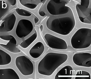 Draft Cuesta Collada 539330718-image2-c.jpeg