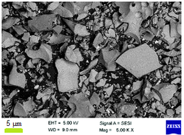 Draft Zandi 797628491-image3.png