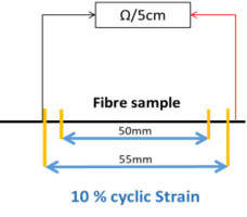 Esteves et al 2021a-image13.png
