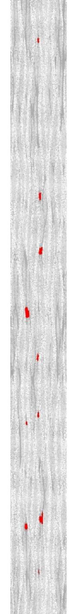 Ultrera et al 2017a-image13.png