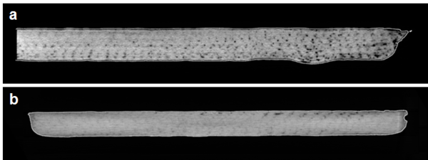 Draft Compuestos 552056574-image11.png