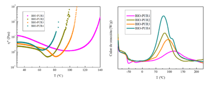 Draft Echeverria Altuna 315562651-image5-c.png