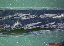 Review 297161669889-image8.png