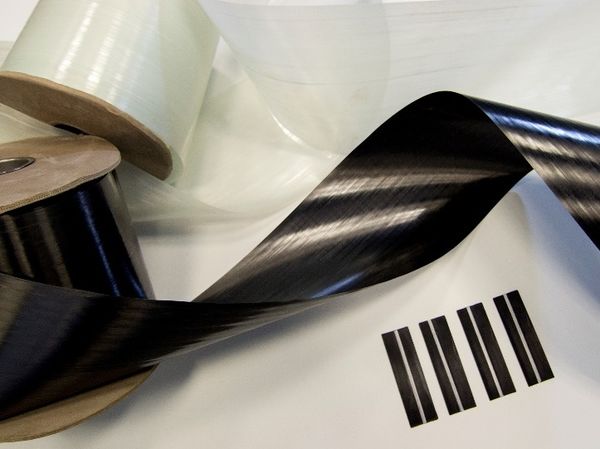 Tielas et al 2019a-image5-c.jpeg