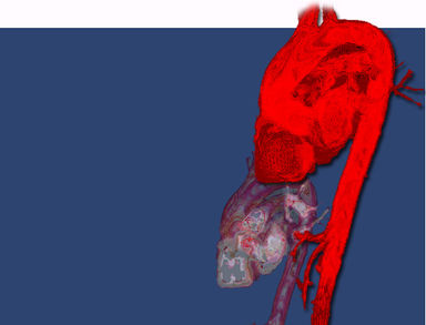 Draft Samper 526155048-image1.jpeg