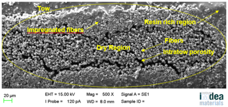 Torres et al 2021b-image6.png